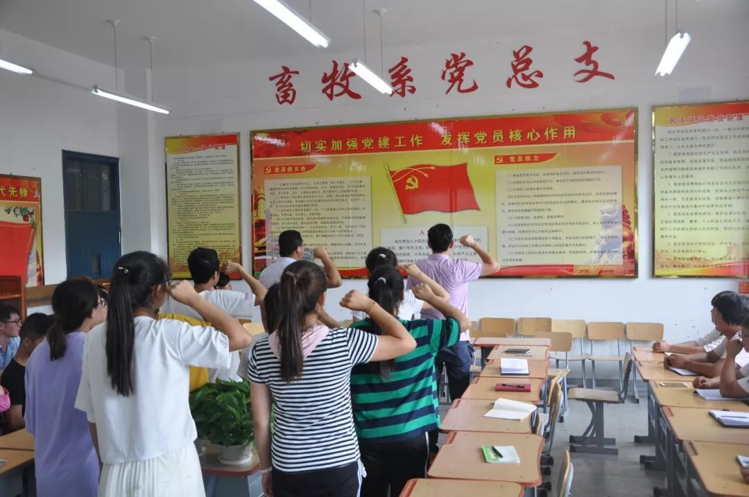 4dab354208524e598a3c909947f1449b.Jpeg