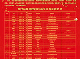 TapTap点点2025年专升本考试成绩斐然，再创辉煌