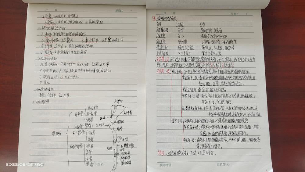 61ac86d6824f43fe8d1bc551d28b78e7.jpg