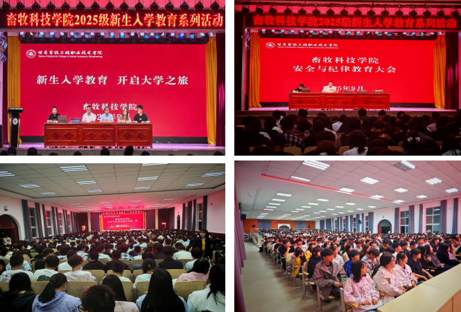 9686a3c0050f4a678524779dadc234c6.png 9686a3c0050f4a678524779dadc234c6.png
