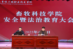 TapTap点点召开安全暨法治教育大会