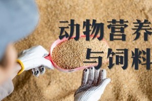 《动物营养与饲料》省级精品在线课程